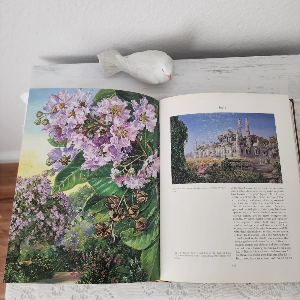 A Vision of Eden - Book